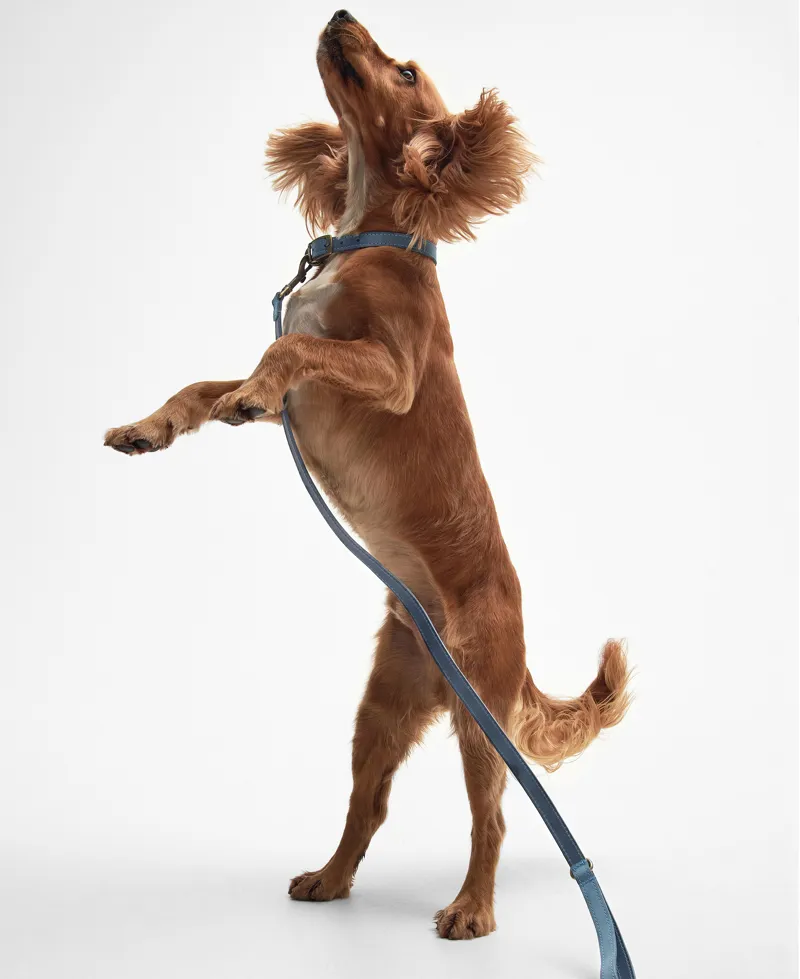 Barbour Leather Dog Lead - Blue-1