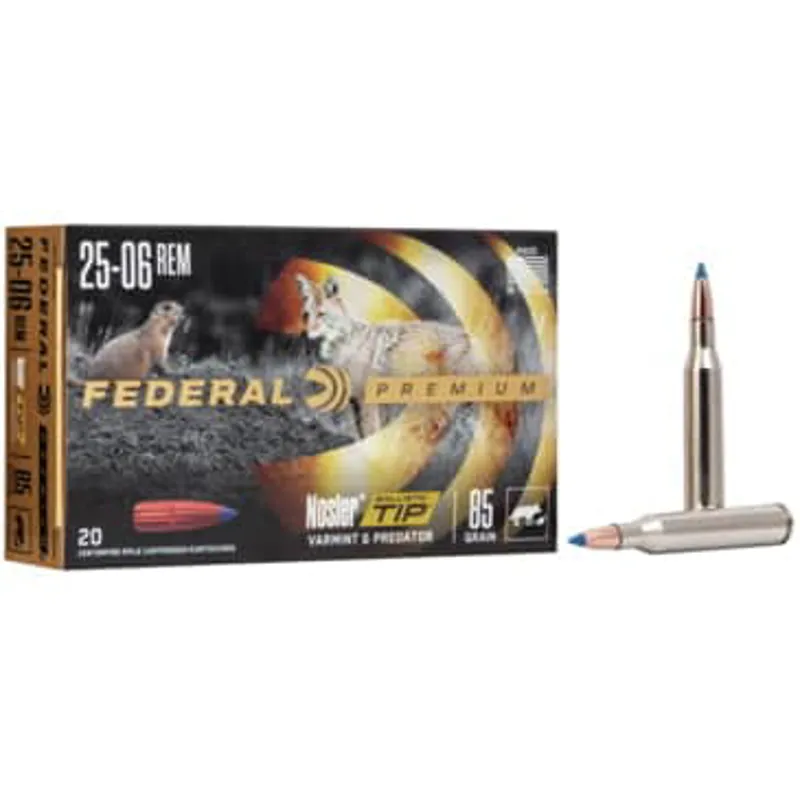 Federal 25-06 85gr BT