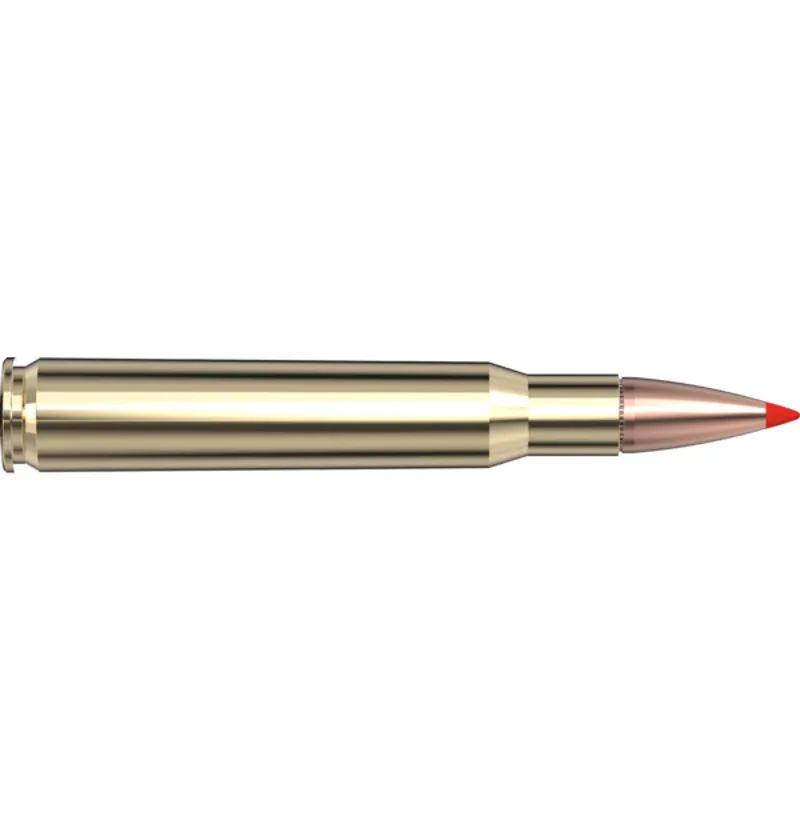 Hornady 30-06 SPRG 165gr SST-1