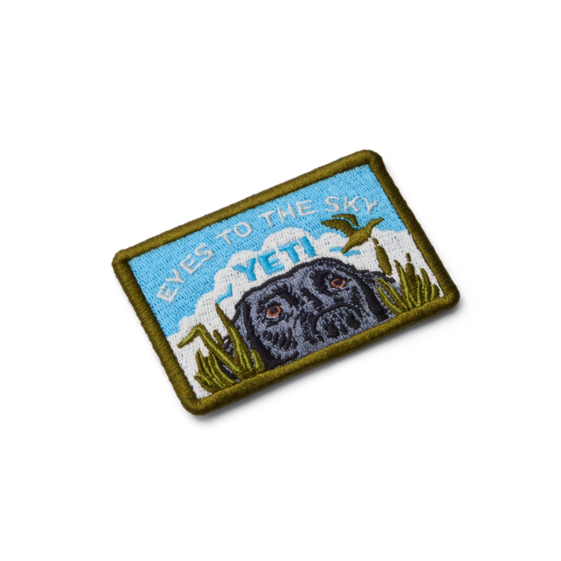 Eyes to the Sky Patch - Blue-1