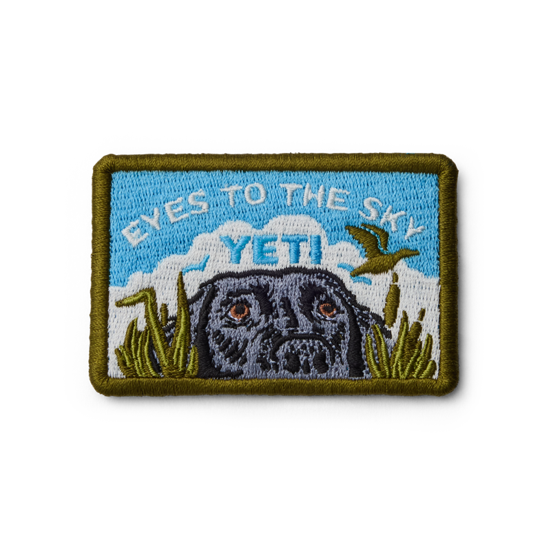 Eyes to the Sky Patch - Blue