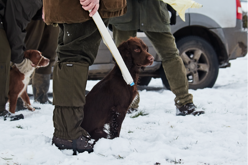 Seeland Buckthorn Gaiters - Shaded Olive-6