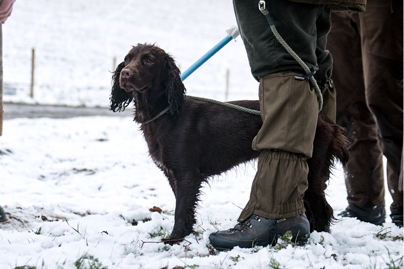 Seeland Buckthorn Gaiters - Shaded Olive-3