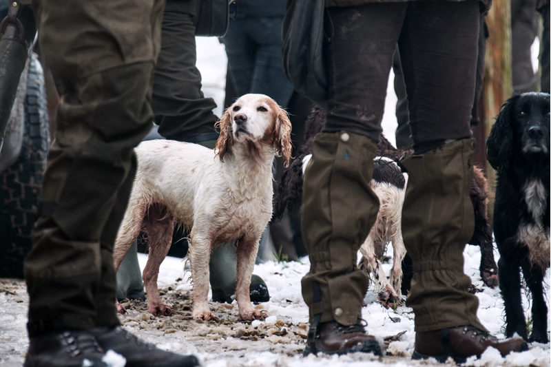 Seeland Buckthorn Gaiters - Shaded Olive-5