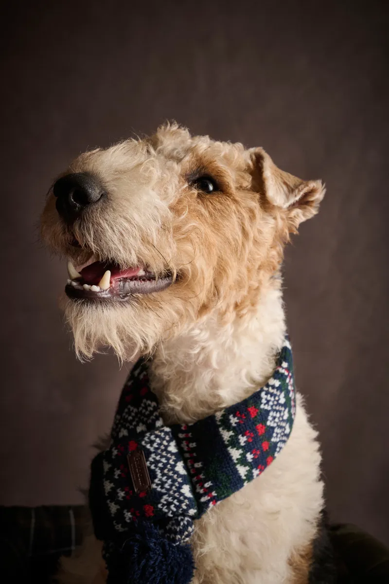 Barbour Marlow Fair Isle Dog Scarf - Navy Festive-2