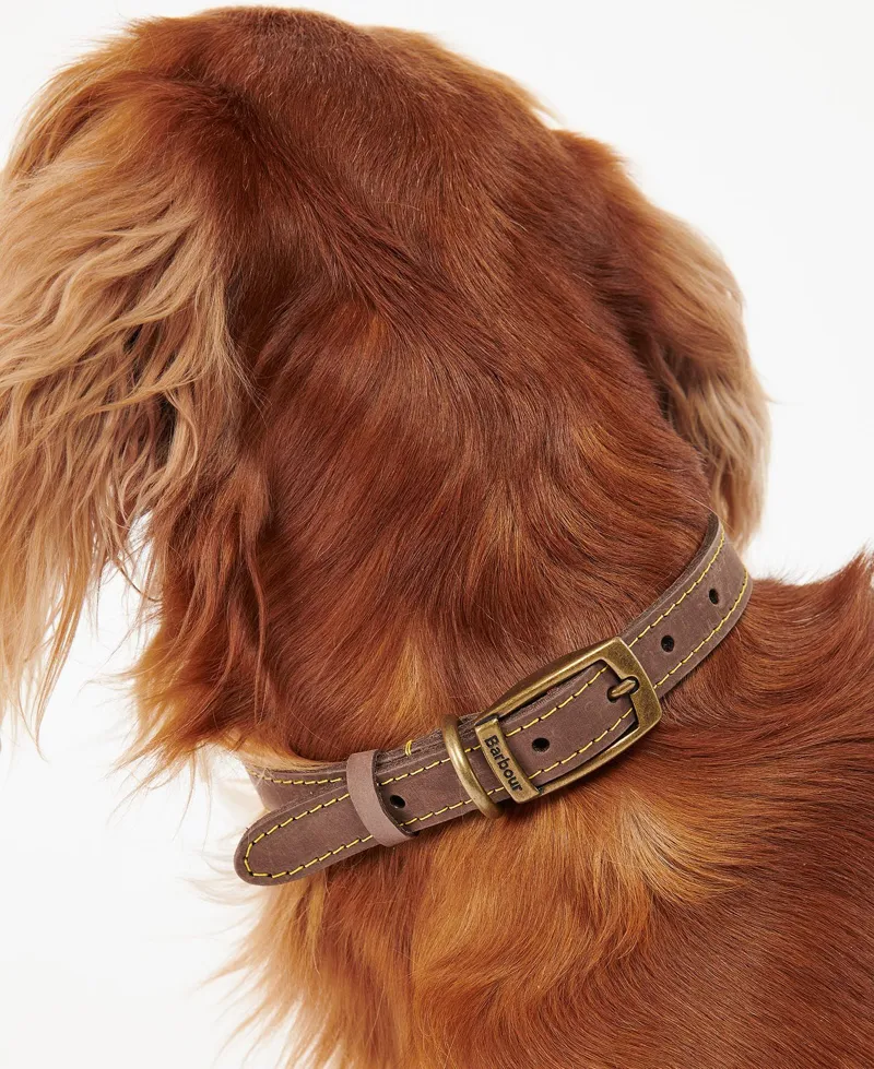 Barbour Leather Dog Collar - Brown-1