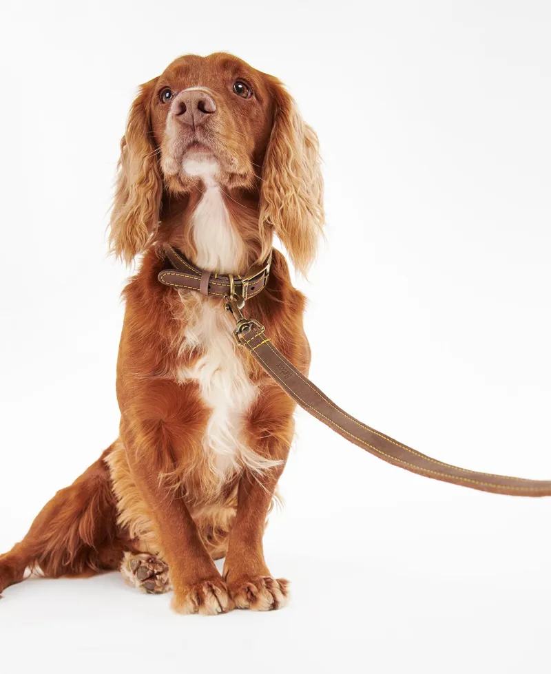 Barbour Leather Dog Lead - Brown-1