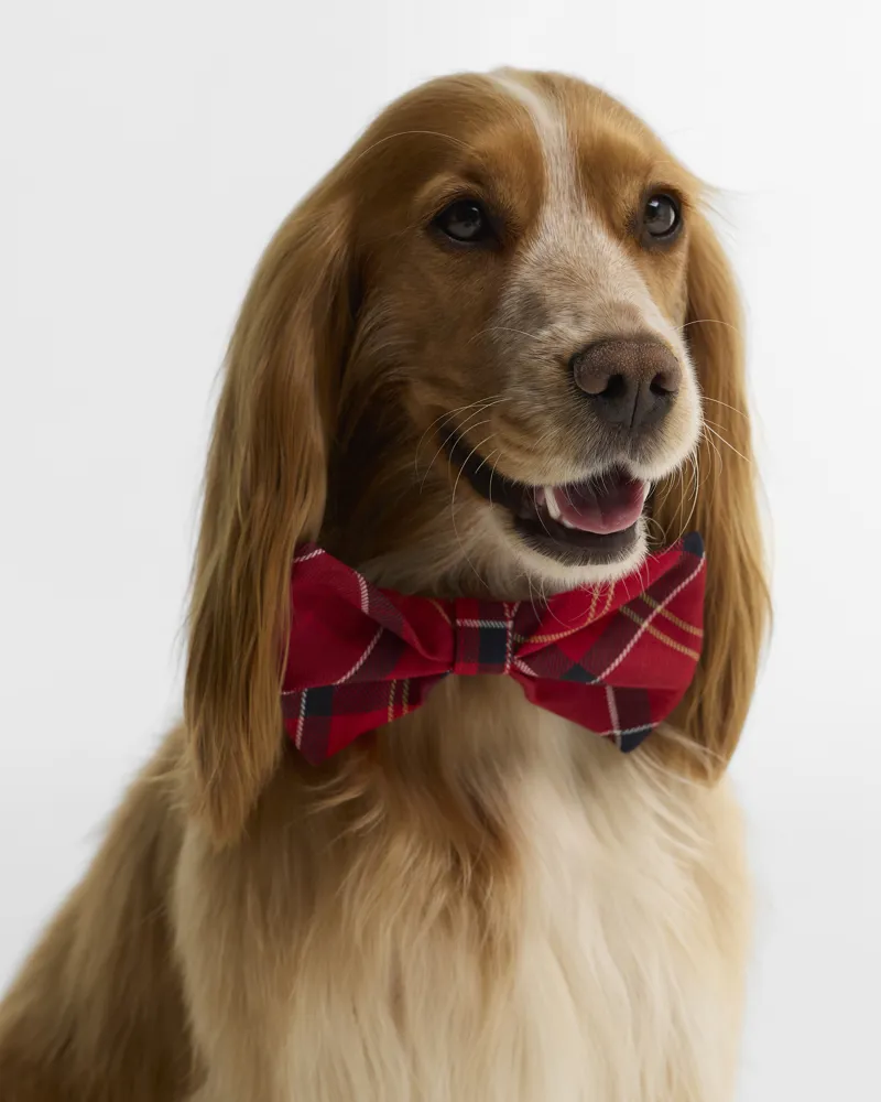 Barbour Tartan Dog Bow Tie - Cardinal Tartan-1
