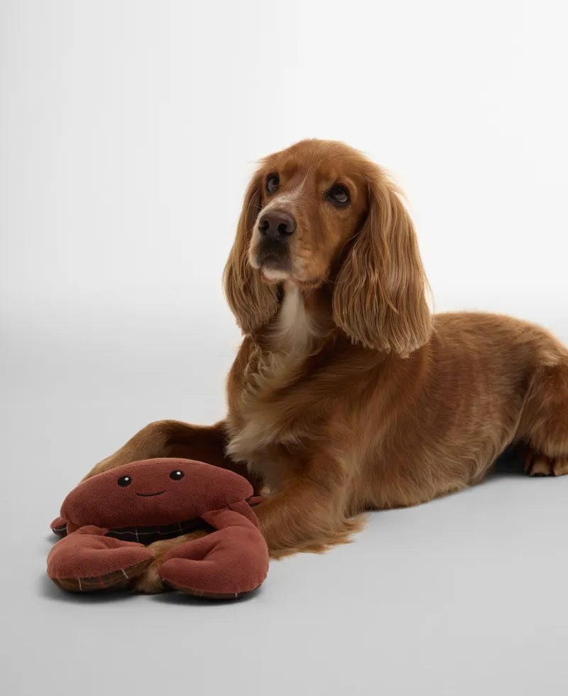 Barbour Crab Dog Toy-3