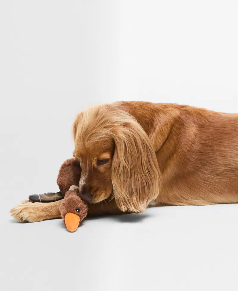Barbour Flying Duck Dog Toy-1