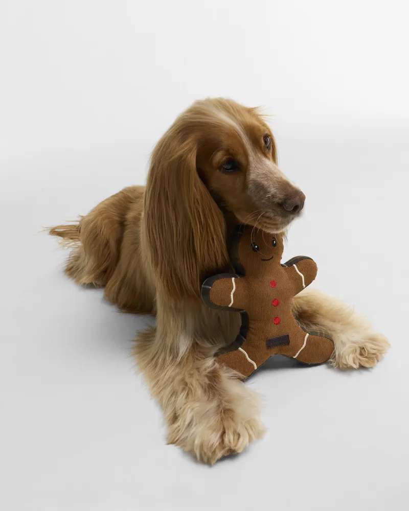Barbour Dog Christmas Gingerbread Toy-1