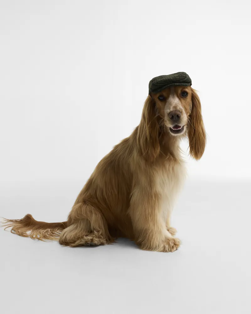 Barbour Wilkin Dog Flat Cap - Olive Check-5
