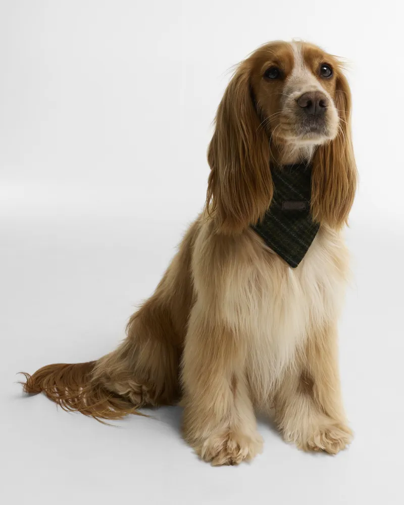 Barbour Wilkin Dog Bandana - Olive Check-1