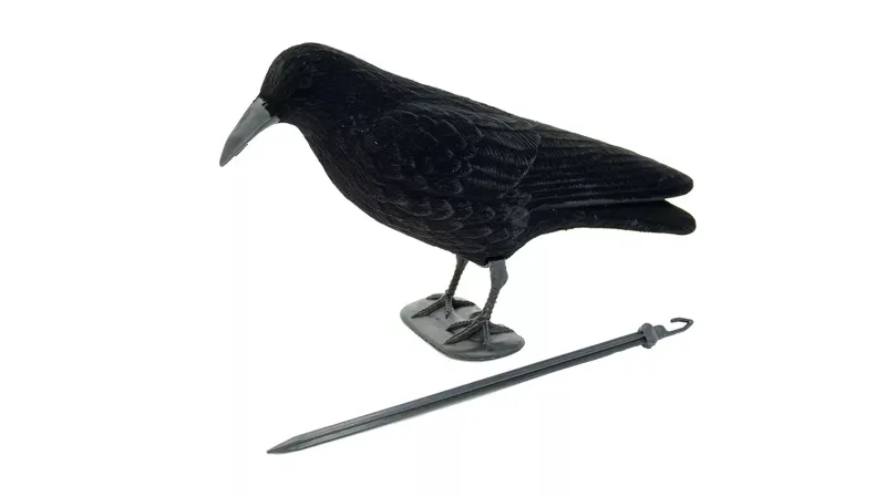 Sportplast Whole Flocked Crow Decoy with Legs and Stake