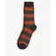 Barbour Houghton Stripe Sock - Burnt Orange