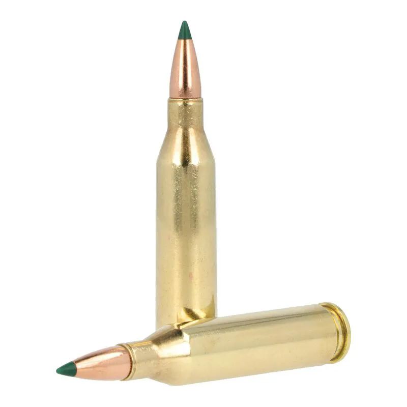 Remington 243 WIN 95g-1