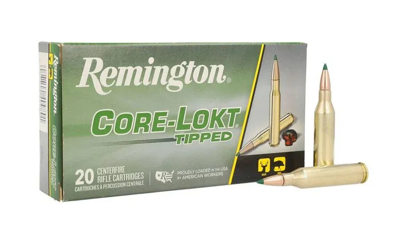 Remington 243 WIN 95g