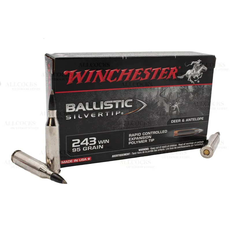 Winchester .243 95gr Silvertip