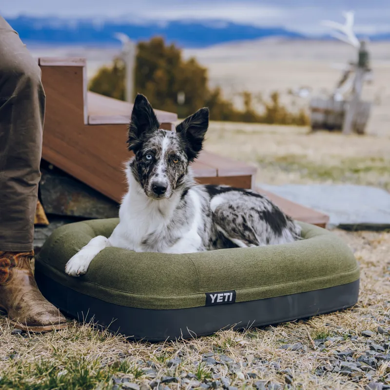 Yeti Boomer Small Dog Bed - Olive-4