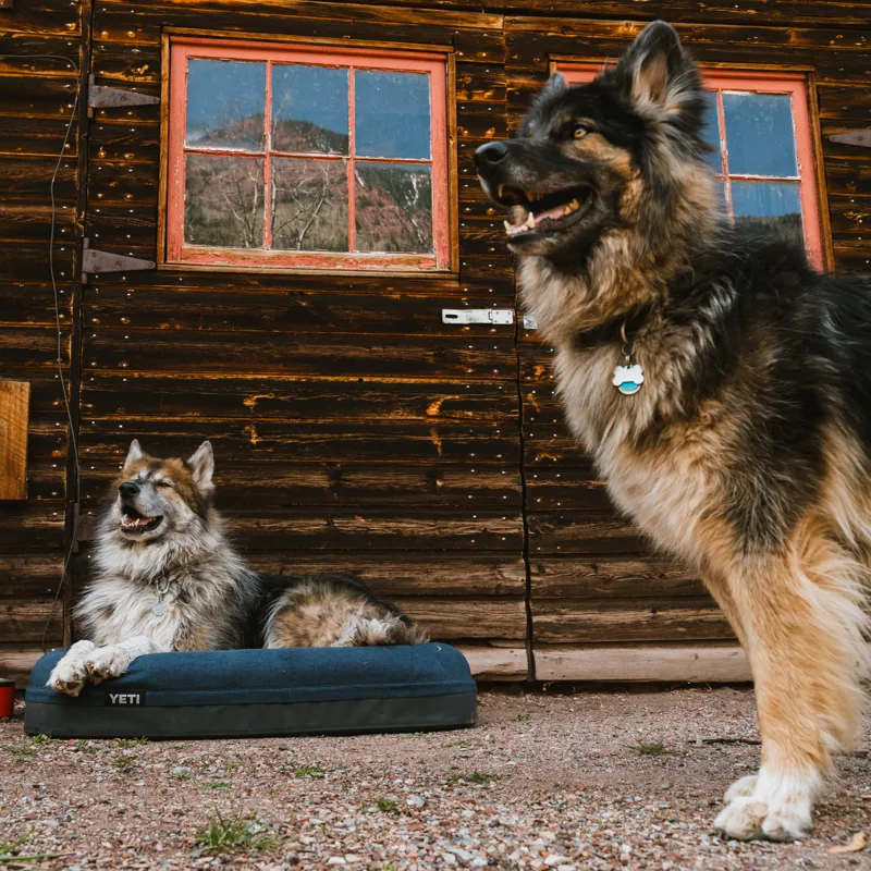 Yeti Boomer Large Dog Bed - Olive-5