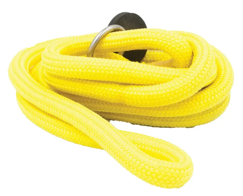 Bisley Loose Braid Slip Lead Yellow
