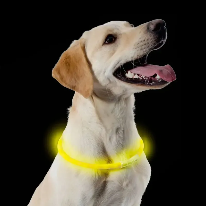 Collar Flashing LED Rechargeable USB Yellow-1