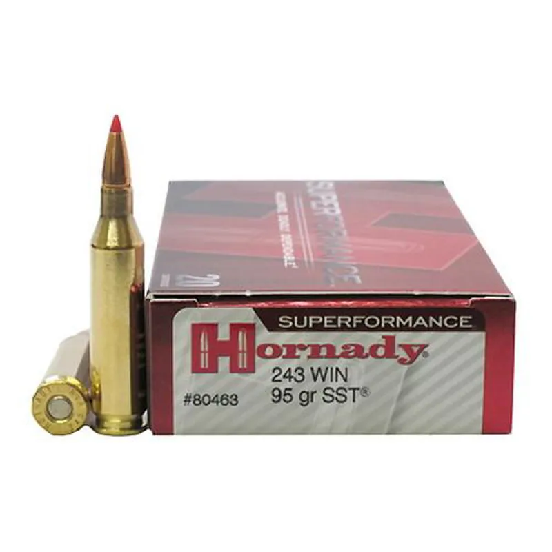 Hornady 243 95gr SST