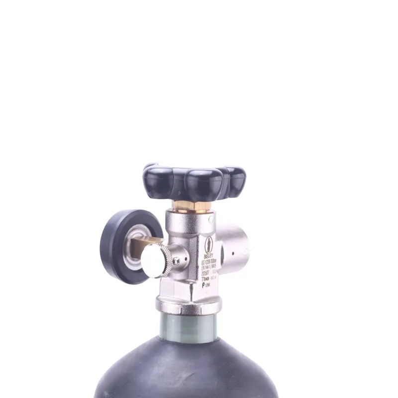 3 Litre Carbon Fiber 300 BAR Air Cylinder Bisley Complete-2